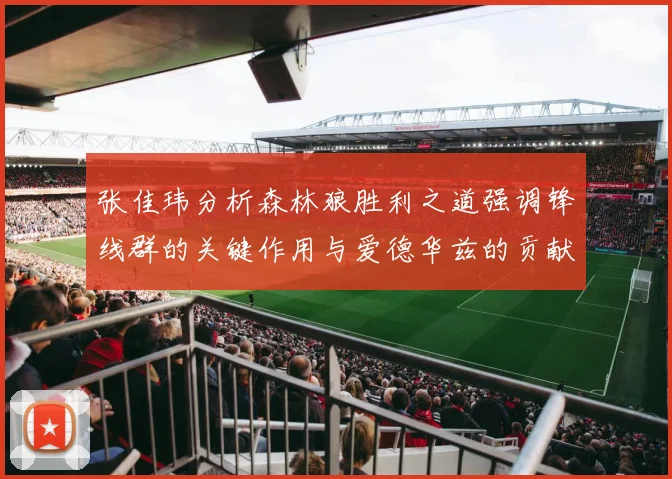 张佳玮分析森林狼胜利之道强调锋线群的关键作用与爱德华兹的贡献
